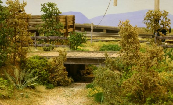 Photo by Trevor Hodges